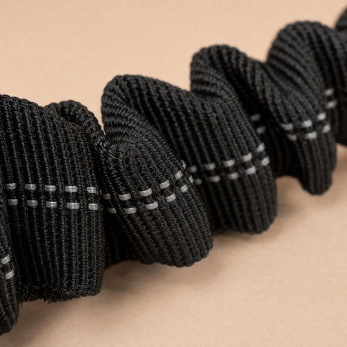 Hands-Free Bungee Dog Leash