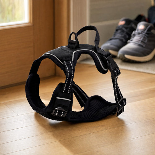 No-Pull Adventure Harness