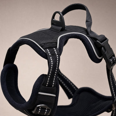 Close-up of the padded chest panel and reflective stitching