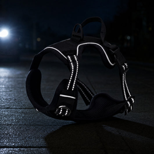 Reflective stitching lit up by headlights at night