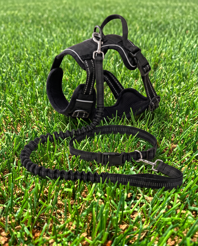 WagVenture Adventure Bundle in black — harness and hands-free bungee leash on grass