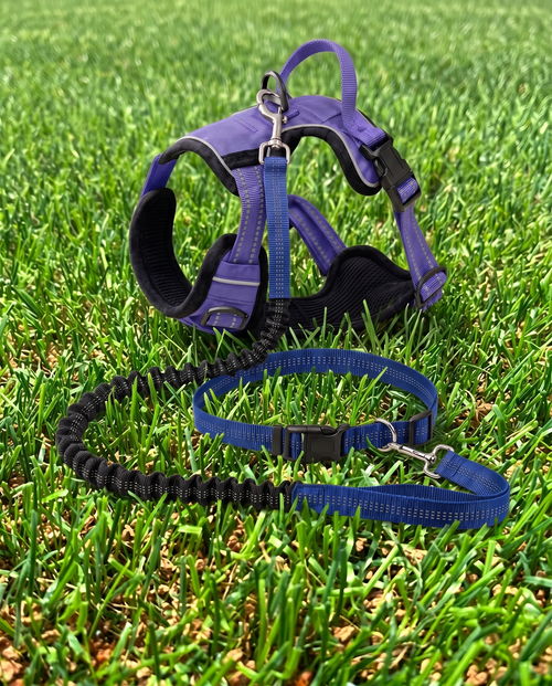 The Adventure Bundle — Harness + Hands-Free Leash
