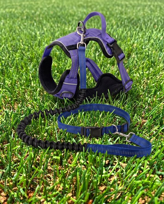 WagVenture Adventure Bundle — purple harness with blue hands-free leash on grass