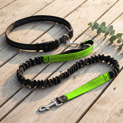 Hands-Free Bungee Dog Leash