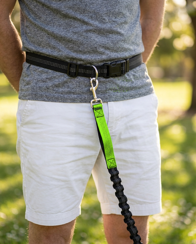 Hands-Free Bungee Dog Leash