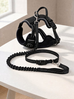 The Adventure Bundle — Harness + Hands-Free Leash