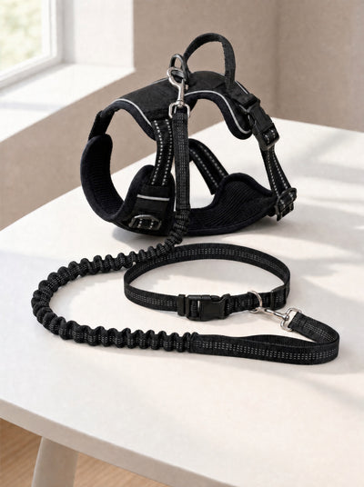 WagVenture Adventure Bundle — No-Pull Adventure Harness with Hands-Free Bungee Leash and waist belt