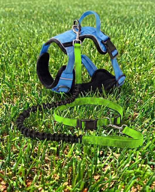 The Adventure Bundle — Harness + Hands-Free Leash