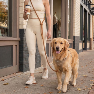 Walk with Ease