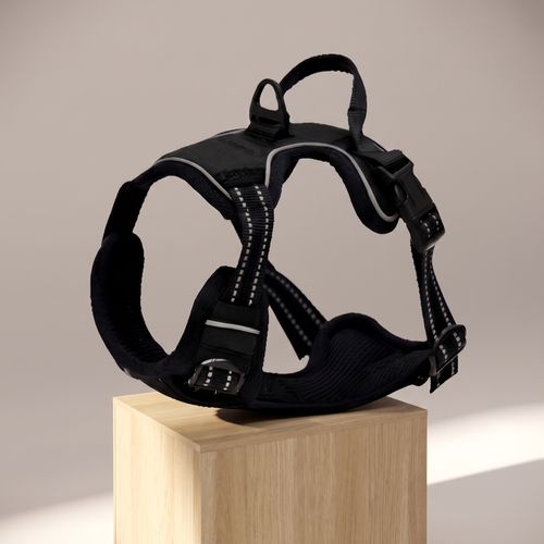 No-Pull Adventure Harness