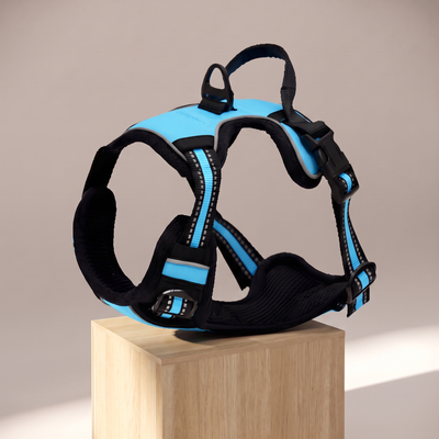 No-Pull Adventure Harness Blue
