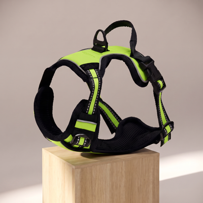 No-Pull Adventure Harness Green