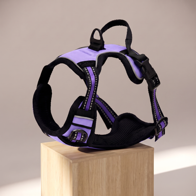 No-Pull Adventure Harness Purple