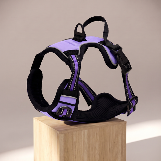 No-Pull Adventure Harness Purple