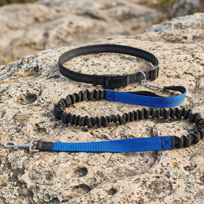 Blue hands-free bungee dog leash resting on a rocky outdoor surface