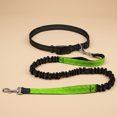 Hands-Free Bungee Dog Leash