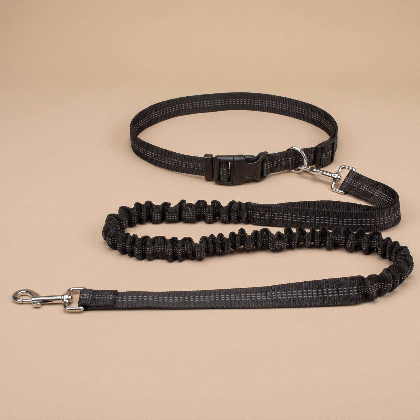 Single Hands-Free Bungee Dog Leash